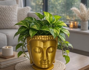 BUDDHA Planter – Plant Add-ons - 3D Printed