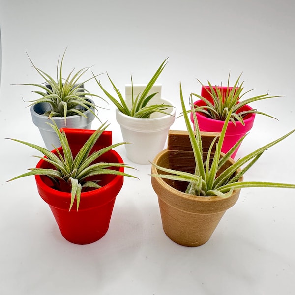 Klassieke muurplanter | Magnetisch | Springspinnen | Behuizingsaccessoires