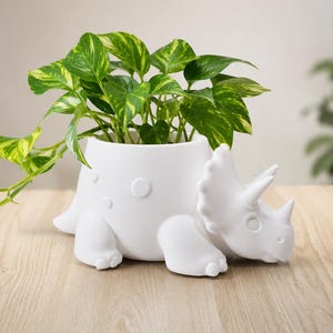 Op de afbeelding: Een witte keramische triceratops plantenbak met een groen-gele plant. De dinosaurus plantenbak heeft drie hoorns, een kraag en een getextureerd lichaam. De bladeren van de plant hebben een gevlekt patroon.