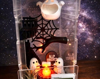 Ghost Campfire Theme | JUMPING SPIDERS