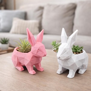 Bunny Rabbit Planter Décor for Airplants or Succulents