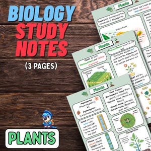 Puede incluir: Apuntes de estudio de biología sobre plantas, con diagramas y texto sobre fotosíntesis, tejidos vegetales y reproducción de flores. El título "Biology Study Notes" está en azul y rojo, con la palabra "Plants" en verde.