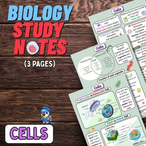 Puede incluir: Notas de estudio de biología en tres páginas, con la palabra "Cells" en un lugar destacado. Las notas cubren las células procariotas y eucariotas, incluyendo diagramas y comparaciones. Un pequeño pájaro de dibujos animados está en la parte inferior.