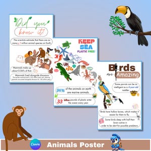 Cartel de animales de biología digital - Decoración educativa del entorno en forma de delfín - Arte de fondo de pantalla imprimible estético 11x17 - Ciencia zoológica