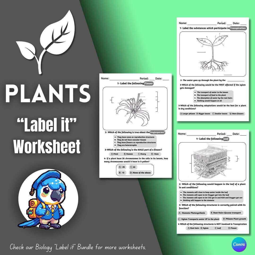 Digital Plants Labeling Sheet - Educational Multiple Choice Questions ...