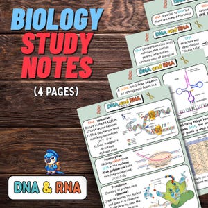 Puede incluir: Notas de estudio de biología en cuatro páginas, con conceptos de ADN y ARN. Las notas incluyen diagramas y explicaciones de la replicación, transcripción y traducción del ADN. El fondo es una superficie de madera.