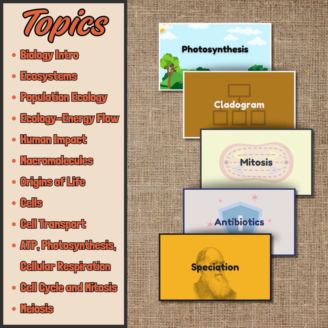 Digital Biology Flashcards - Printable Multiple Topics Science Index ...