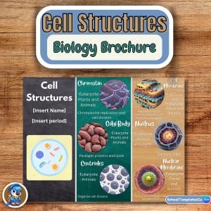 Cell Structure Brochure: Printable Biology Pamphlet, Science Organelles (11x8.5, Canva Template) (PDF Download)