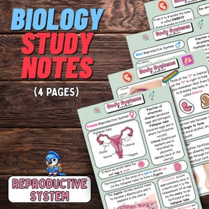 Puede incluir: Notas de estudio de biología sobre los sistemas reproductores. La imagen presenta varias páginas con diagramas y texto, incluidos los sistemas reproductores femenino y masculino. El título "Biology Study Notes" se muestra en letras grandes rojas y azules.