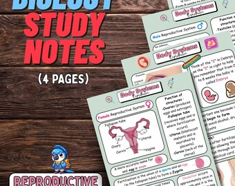 Reproductive System Biology Study Guide: Male & Female Anatomy, Pregnancy (PDF Download)