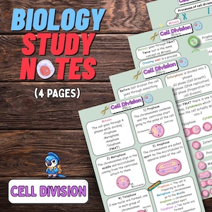 Puede incluir: Apuntes de estudio de biología sobre la división celular. La imagen muestra varias páginas con notas manuscritas y diagramas que explican la mitosis y la meiosis. El título "Biology Study Notes" está en letras rojas. Hay un pequeño pájaro de dibujos animados en la parte inferior.