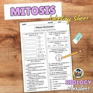 May include: A biology worksheet titled "Mitosis Worksheet" with questions about cell division. Includes diagrams, true/false questions, and multiple-choice questions. A pencil and eraser are on the wooden surface.