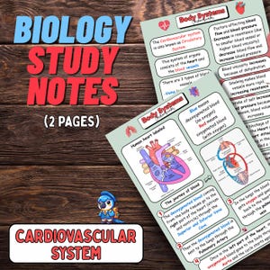 Puede incluir: Apuntes de estudio de biología sobre el sistema cardiovascular, con diagramas del corazón y los vasos sanguíneos. Las notas explican el flujo sanguíneo, la oxigenación y los factores que afectan la presión arterial. Incluye el texto "Apuntes de estudio de biología (2 páginas)" y "Sistema cardiovascular".