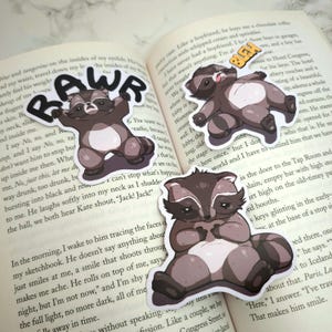 Funny Raccoon Mood Stickers: Matte Vinyl Decals for Laptops & Journals