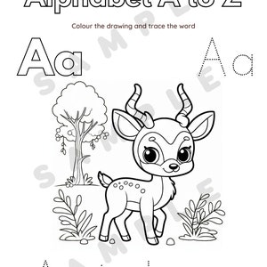 Kids Colouring Book - Animals Alphabet A to Z With Tracing Activities ...