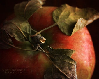 red apple kitchen decor fine art photography print leaves food photo