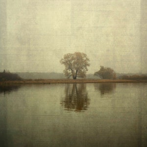 tree water reflection Canvas Gallery Wrap landscape home decor nature fine art photography