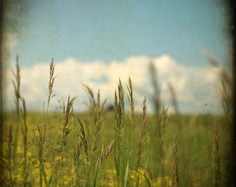 grass blue sky layers landscape photography fine art photography Spring Summer home decor