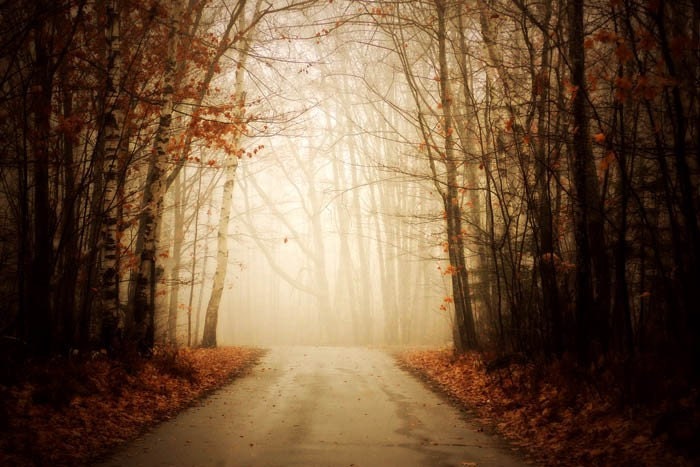 landscape photography nature fine art photography autumn | Etsy