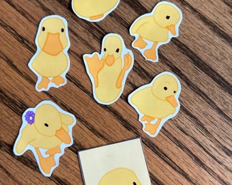 Duck Stickers  | Water Resistant Vinyl Decals
