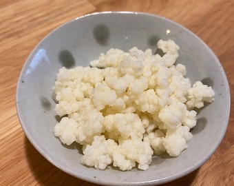 Milk Kefir Grains