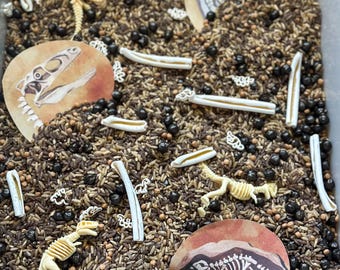 Dinosaur Dig Sensory Bin: Colored Rice, Beans & Dino Pasta Bones
