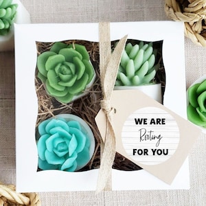 Girlfriend Gift / Encouragement Gift Box of Succulent Soaps / We are ROOTING for you Gift Set / Thinking of you gift for her / Cheer up gift