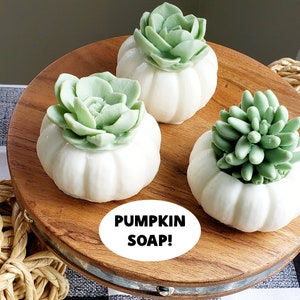 White Pumpkin Succulent Soap / Thanksgiving Soap Favors / Thanksgiving Table Favor / Farmhouse Decor / Hostess Gift / Thanksgiving Favors