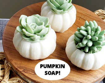 White Pumpkin Succulent Soap / Thanksgiving Soap Favors / Thanksgiving Table Favor / Farmhouse Decor / Hostess Gift / Thanksgiving Favors