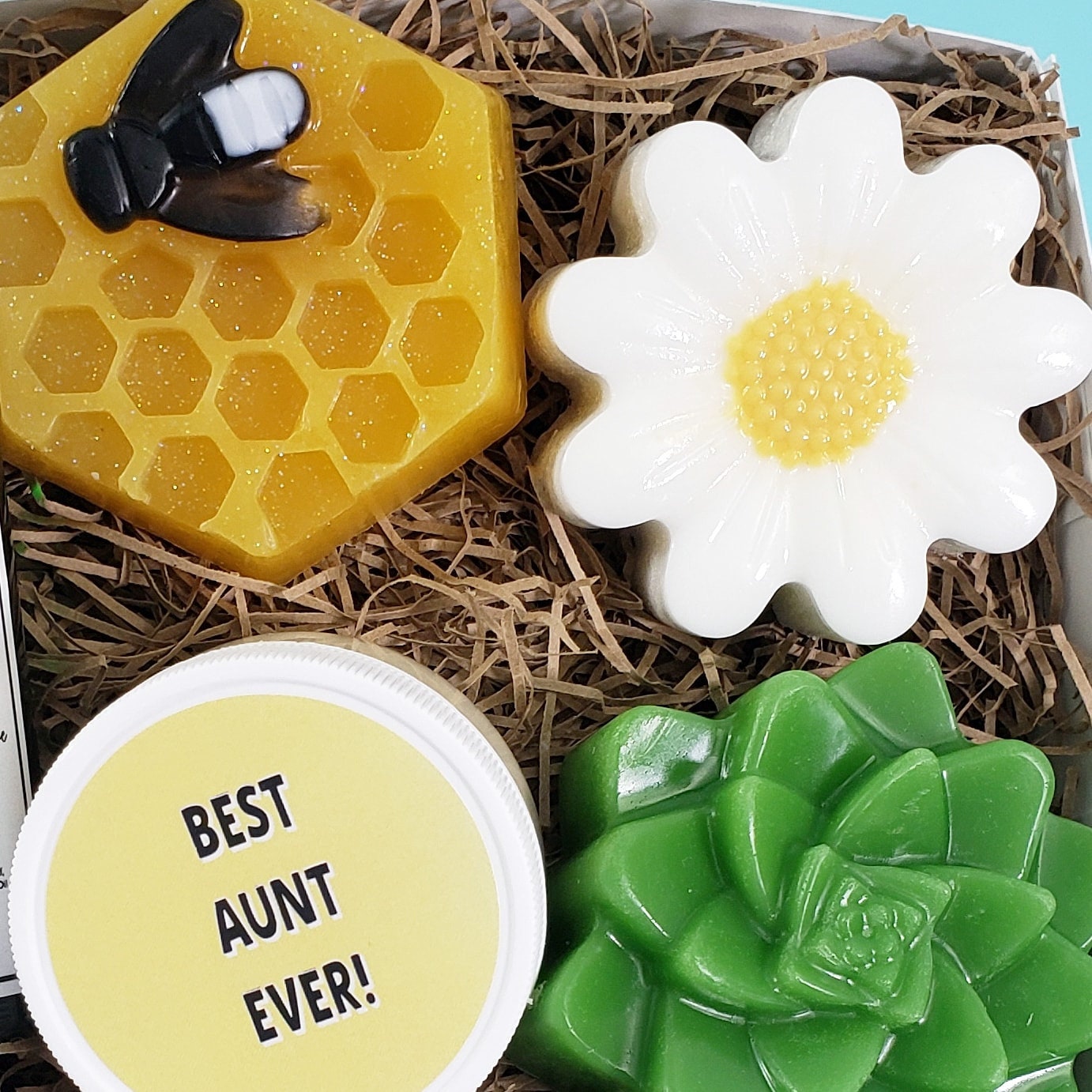 Best Aunt Ever Gift for Aunt Gift Box Ideas for Aunt From | Etsy