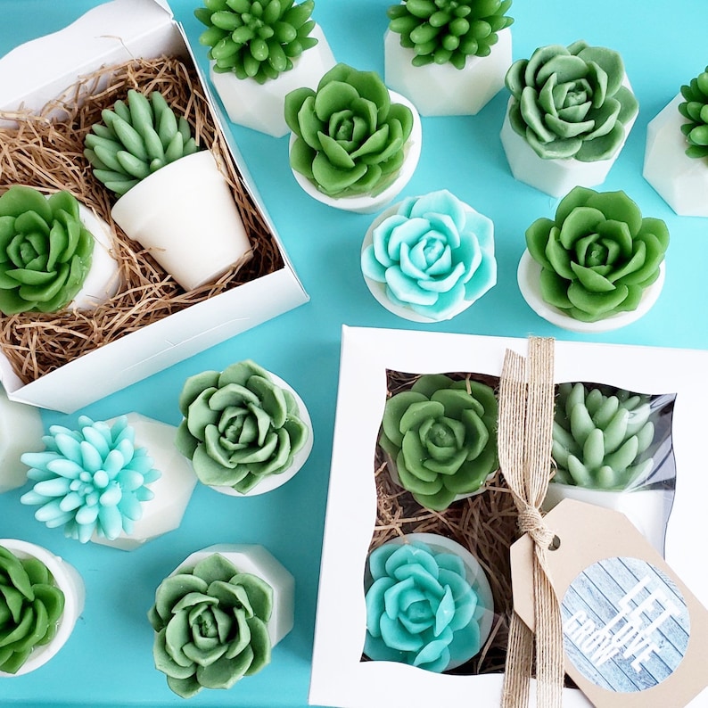 Succulent Gift / Unique Gifts For Women / Succulent Soap / Cactus Decor / Cactus Gift / Best Friend Birthday Gift / Little Gift / Succulents image 5