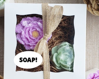 Gift for Mother's Day / Mother Daughter Gift / Mothers Day Gifts / Succulent Gift / Mother's Day Gift Box / Mothers Day Gift Idea/ Soap Gift