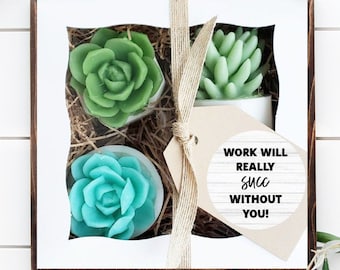 Work will Succ Without You Succulent Soap Gift Box - Send a Gift, Farewell Gift, Coworker Promotion Gift, Colleague Leaving, Miss you Gift
