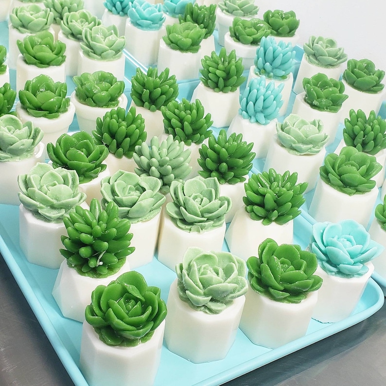 Succulent Gift / Unique Gifts For Women / Succulent Soap / Cactus Decor / Cactus Gift / Best Friend Birthday Gift / Little Gift / Succulents image 7