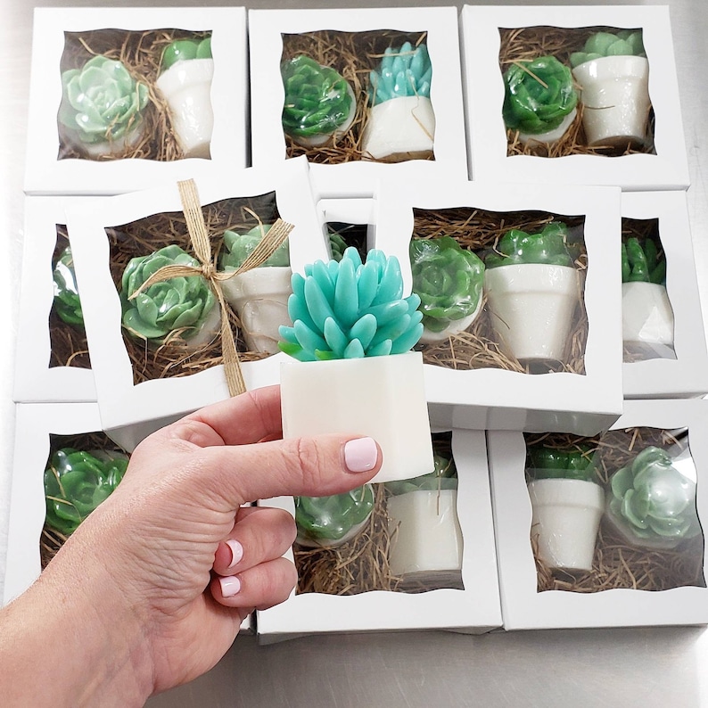 Succulent Gift / Unique Gifts For Women / Succulent Soap / Cactus Decor / Cactus Gift / Best Friend Birthday Gift / Little Gift / Succulents image 3