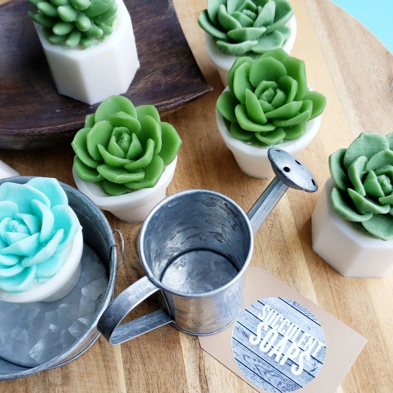 Succulent Gift / Unique Gifts For Women / Succulent Soap / Cactus Decor / Cactus Gift / Best Friend Birthday Gift / Little Gift / Succulents image 6