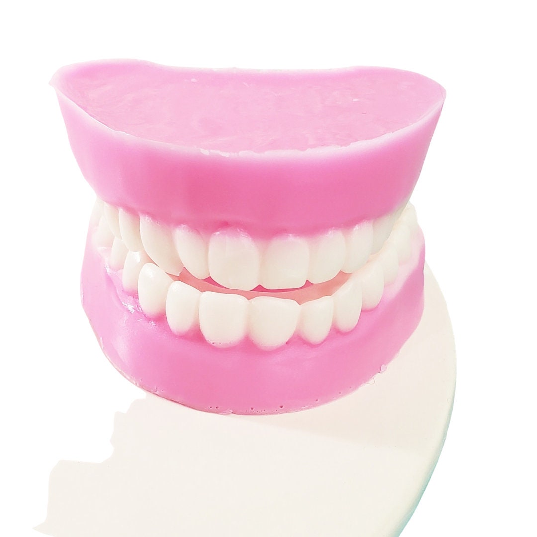 Funny Gift Denture False Teeth Soap. Fun Unique Gifts for Him Etsy