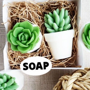 Succulent SOAP Gift Set. Best Friend Birthday Gift for Her. Mothers Day Gift. Natural Handmade Soap Mom Gift Ideas