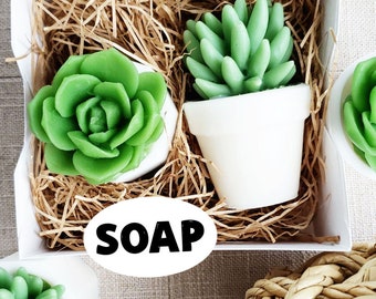 Succulent Soap Gift Set, Handmade Aloe Vera Scented Soap