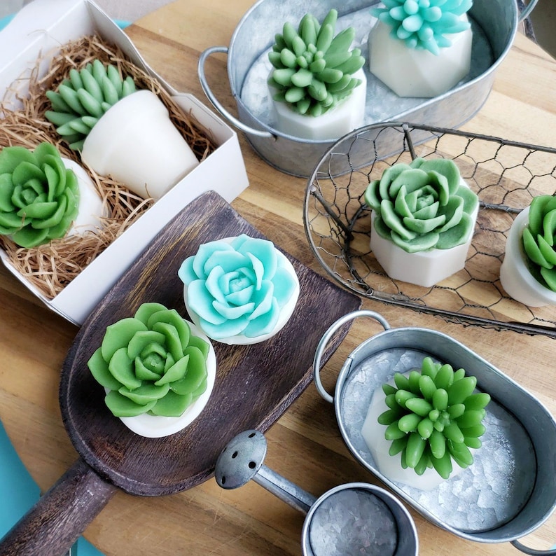 Succulent Gift / Unique Gifts For Women / Succulent Soap / Cactus Decor / Cactus Gift / Best Friend Birthday Gift / Little Gift / Succulents image 10