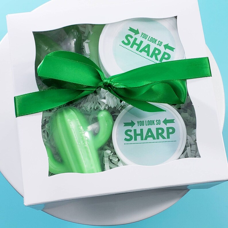 You Look so Sharp Cactus Care Package for Women Gift Box. Etsy