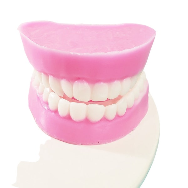 Funny Gift / Birthday Gag Gift / False Teeth Denture Soap / Gift Ideas for Her or Him / Getting Old Funny Birthday Gift / Novelty / Unique