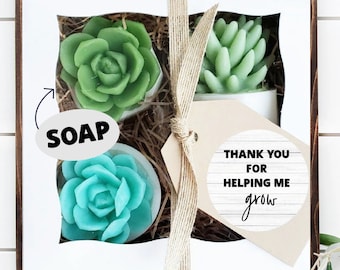 Teacher Appreciation Gift / Handmade Soap Succulent Gift Box / Thank You Gift for Teacher Appreciation Gift, Thanks for Helping Me Grow