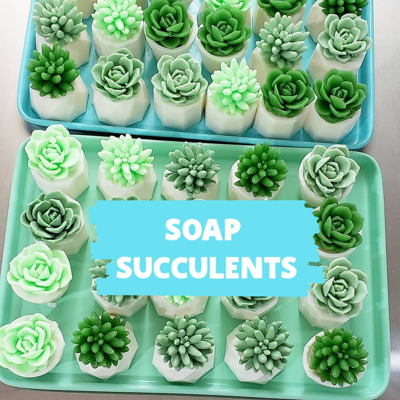 Succulent Gift / Unique Gifts For Women / Succulent Soap / Cactus Decor / Cactus Gift / Best Friend Birthday Gift / Little Gift / Succulents image 9