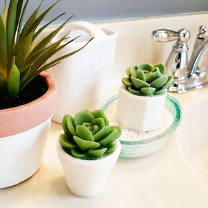 Succulent Gift / Unique Gifts For Women / Succulent Soap / Cactus Decor / Cactus Gift / Best Friend Birthday Gift / Little Gift / Succulents image 2