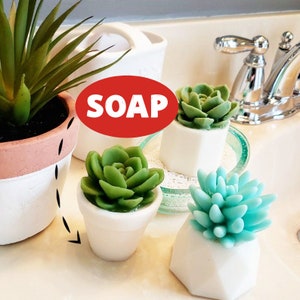Succulent Handmade Soap / Succulent Gift / Unique Gifts / For Women / For Friends / For Sisters / For Teachers / Christmas Gifts for Her image 1