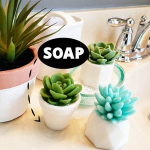Succulent Handmade Soap / Succulent Gift / Unique Gifts / For Women / For Friends / For Sisters / For Teachers / Christmas Gifts for Her image 4