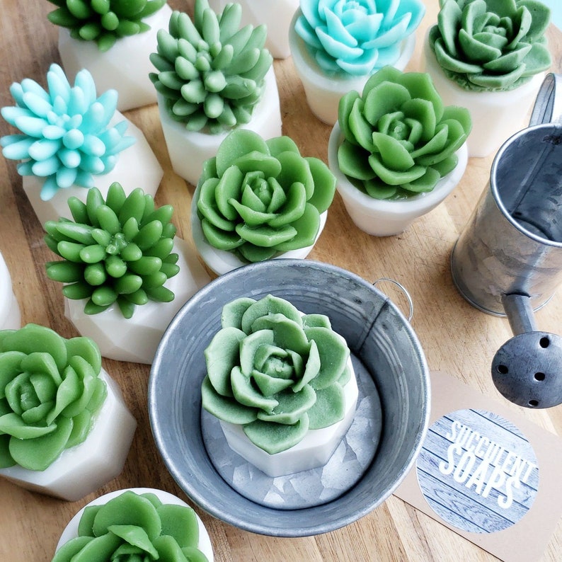 Succulent Gift / Unique Gifts For Women / Succulent Soap / Cactus Decor / Cactus Gift / Best Friend Birthday Gift / Little Gift / Succulents image 4