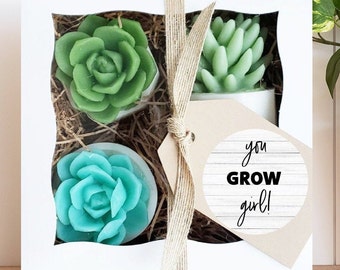 Best Friend Birthday Gift/  Succulent Gift / You Grow Girl Gift / Soap Gift Set / Succulent SOAPS / Gift Set for Woman / Unique Gift ideas