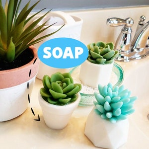 Succulent Handmade Soap / Succulent Gift / Unique Gifts / For Women / For Friends / For Sisters / For Teachers / Christmas Gifts for Her image 3
